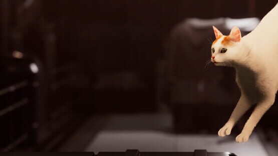 Catfall gameplay screenshot