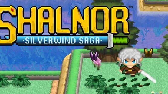 Shalnor: Silverwind Saga official artwork 1