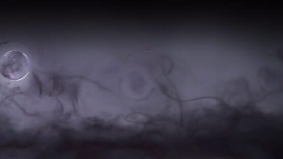 Cyrano Story official artwork 1