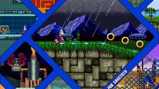 Sonic Frenzy Adventure gameplay screenshot