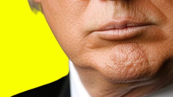 Trump Simulator 2025 official artwork 1