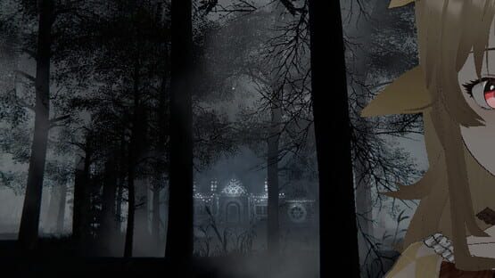 The Ninth Forset gameplay screenshot