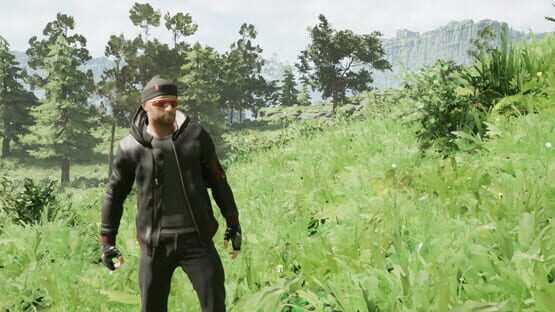 Money Theft gameplay screenshot