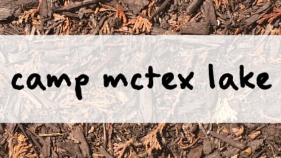 Camp McTex Lake gameplay screenshot