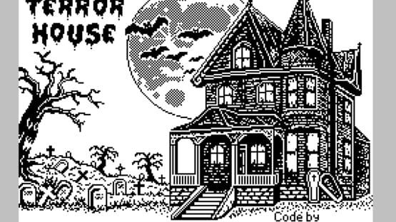 ZX Terror House gameplay screenshot