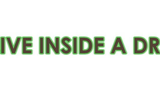 We Live Inside A Dream official artwork 1