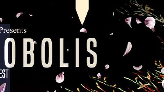 Phobolis official artwork 1