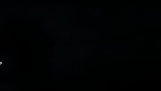 #7-J5Z: The Driftwood Experiment gameplay screenshot