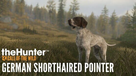TheHunter: Call of the Wild - German Shorthaired Pointer official artwork 1