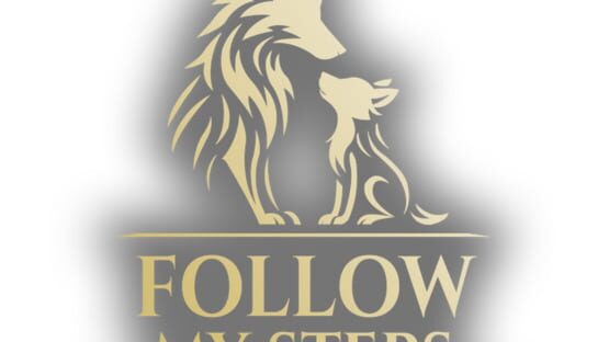Follow My Steps official artwork 2