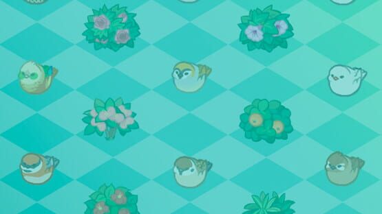 Garden & Bird gameplay screenshot