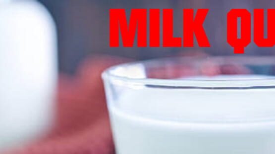Milk Quest gameplay screenshot