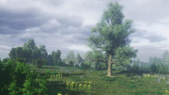 Simulyator Odinochestva V Russkoy Derevne official artwork 1