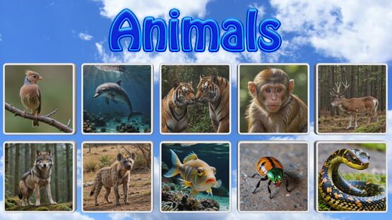 RememPair: Animals gameplay screenshot