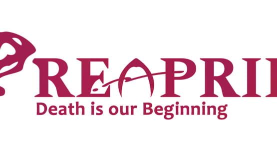 Reaprieve gameplay screenshot