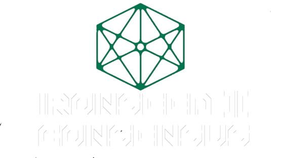 Ironseed 2: Consensus official artwork 1