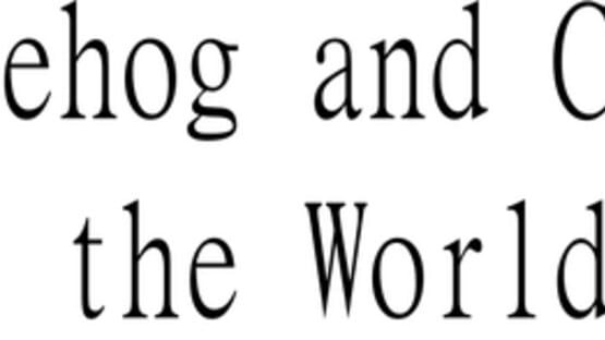 Hedgehog and Cat: Explore the World Action official artwork 2