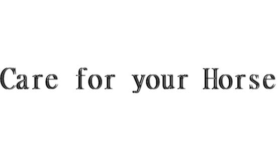 Care for your Horse official artwork 2