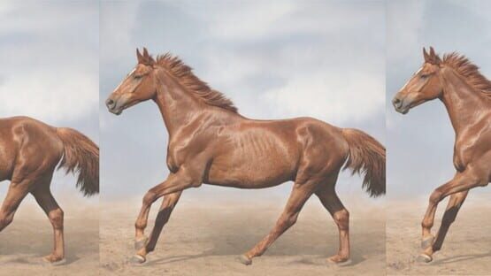 HgmGame Horse gameplay screenshot