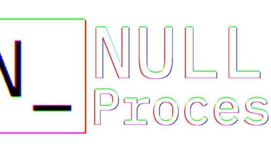 Null.Process official artwork 2