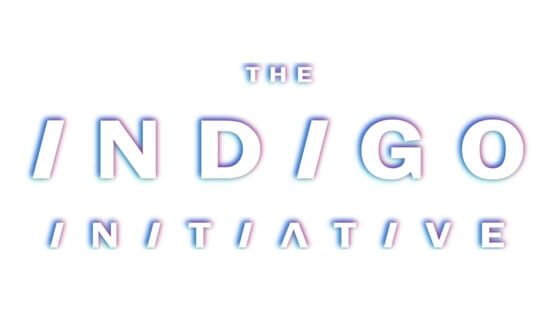 The Indigo Initiative official artwork 2