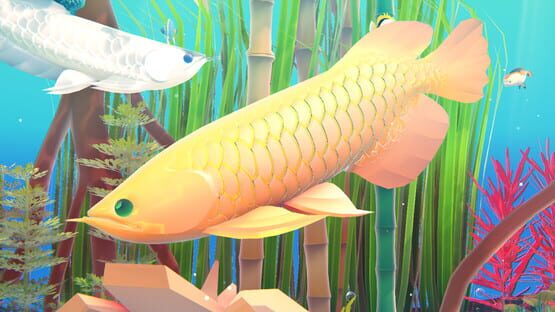 Fishplay gameplay screenshot