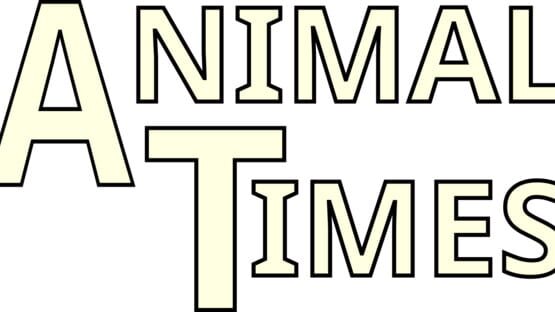 Animal Times official artwork 2