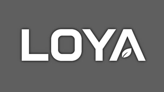 Loya gameplay screenshot