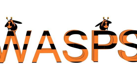 Wasps gameplay screenshot