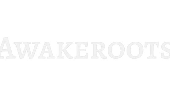 Awakeroots gameplay screenshot