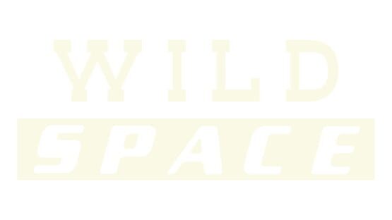 Wild Space official artwork 2