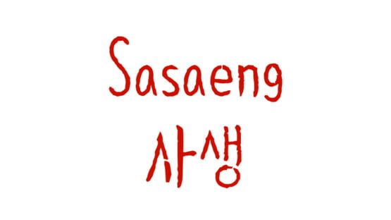 Sasaeng official artwork 2
