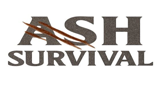 Ash Survival official artwork 2