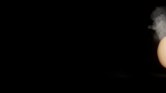 Tamagorudo: Floor O gameplay screenshot