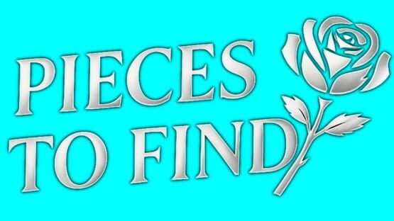Pieces to Find official artwork 2
