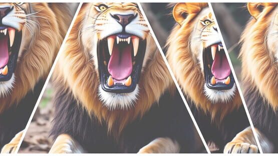HgmGame-Lion gameplay screenshot