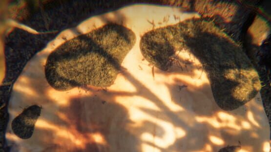 Mycelium Mayhem gameplay screenshot