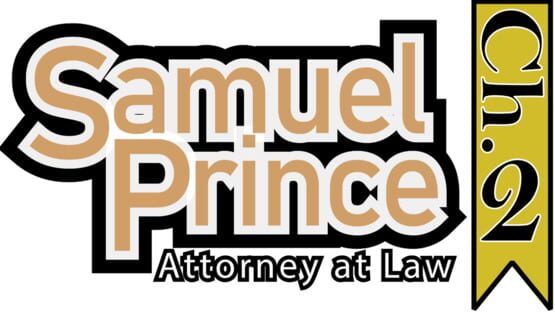 Samuel Prince Attorney at Law: Chapter 2 official artwork 2