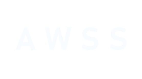 Awss official artwork 2