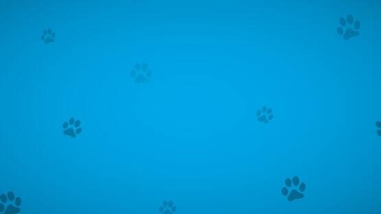 Dogs and Paws official artwork 1