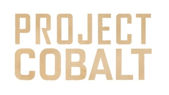 Project Cobalt official artwork 2