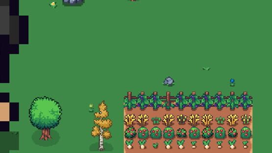 Everglen gameplay screenshot