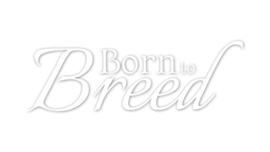 Born to Breed screenshot 2