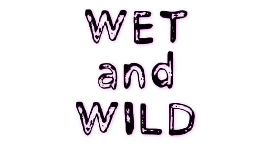 Wet and Wild gameplay screenshot
