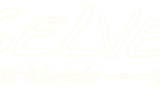 Selve official artwork 2