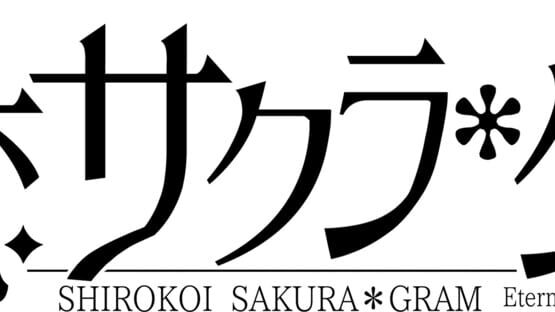 Shirokoi Sakura Gram official artwork 6