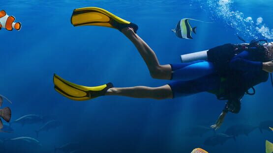 Sea Life Explorer: Collector's Edition official artwork 1