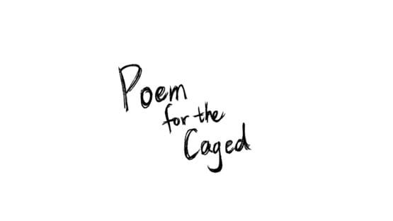 Poem for the Caged official artwork 3