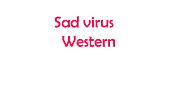 Sad Virus Western official artwork 2