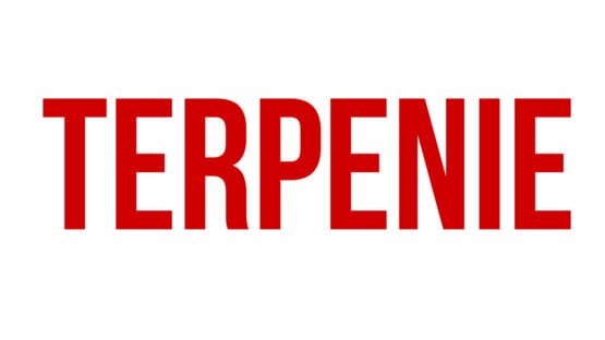 Terpenie official artwork 2